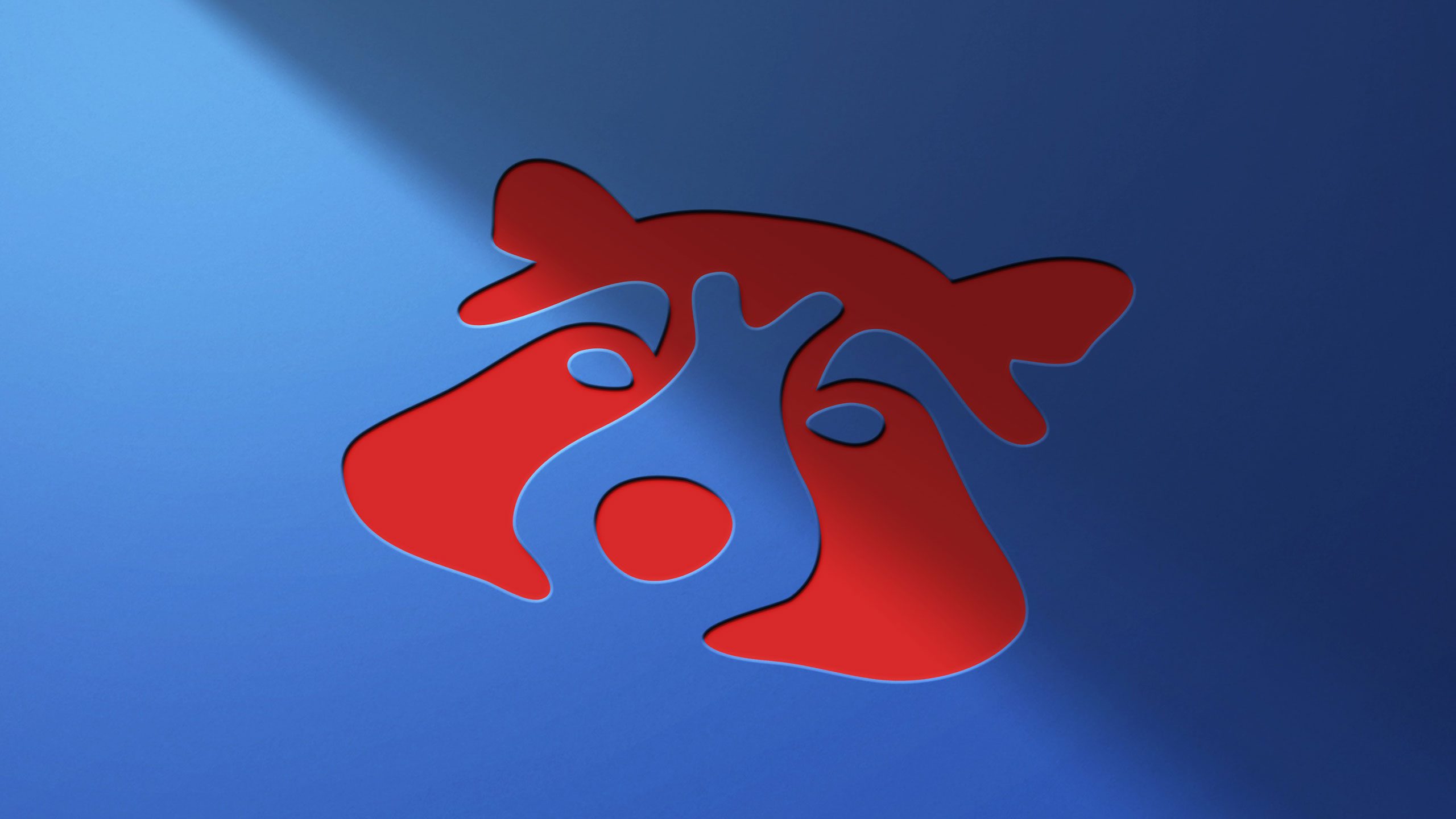 dmp_Corporate-Design_Racoon_Vorschau