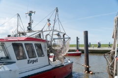 WremerSchipperfest (1 von 6)